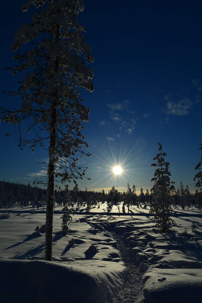Laponie 2019
