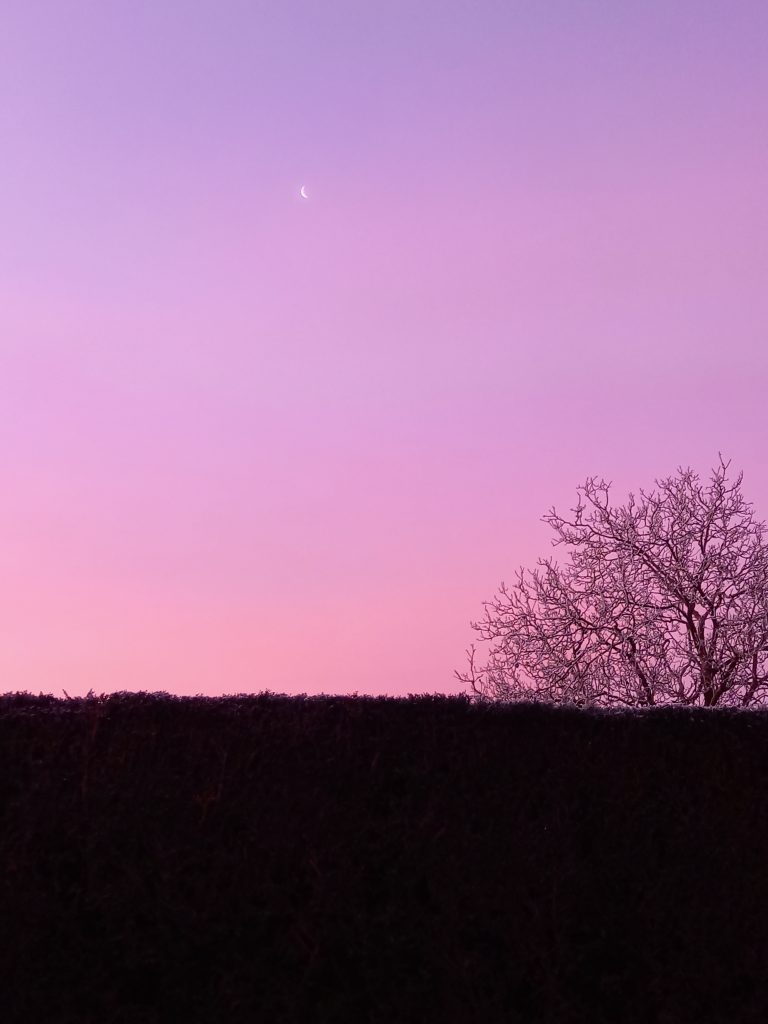 Automne 2022 De la lumière aux yeux photographe à Baudreville Eure-et-Loir