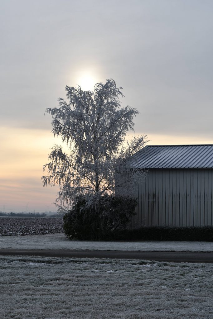 Automne 2022 De la lumière aux yeux photographe à Baudreville Eure-et-Loir