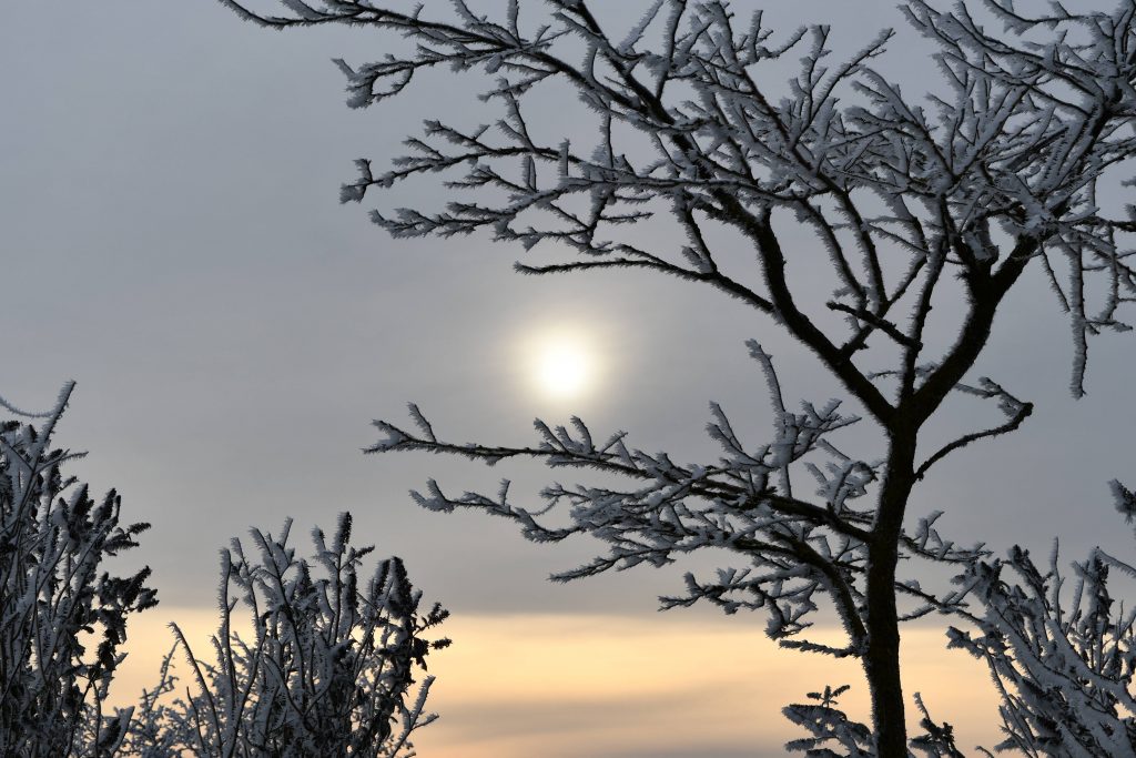 Automne 2022 De la lumière aux yeux photographe à Baudreville Eure-et-Loir