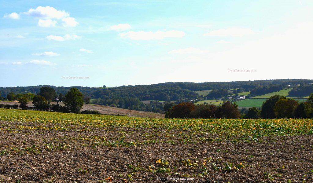 Rallye Coeur de France 2023 photographe De la lumière aux yeux