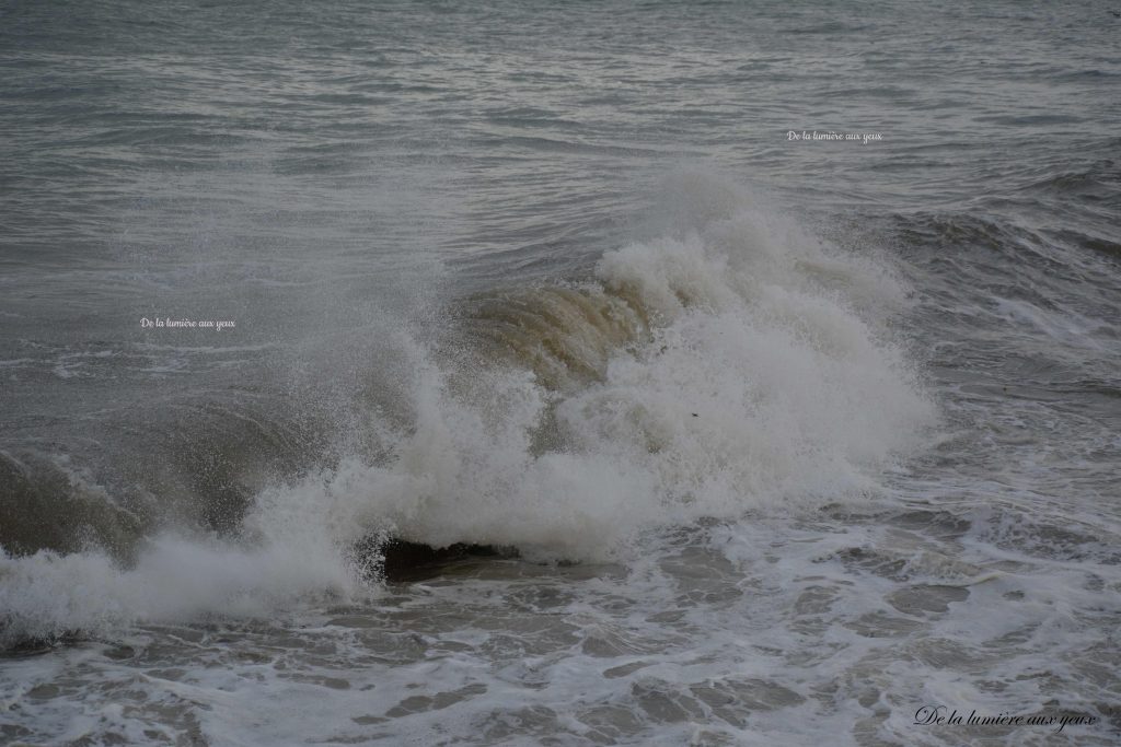 Bretagne Finistère Nord photographe De la lumière aux yeux