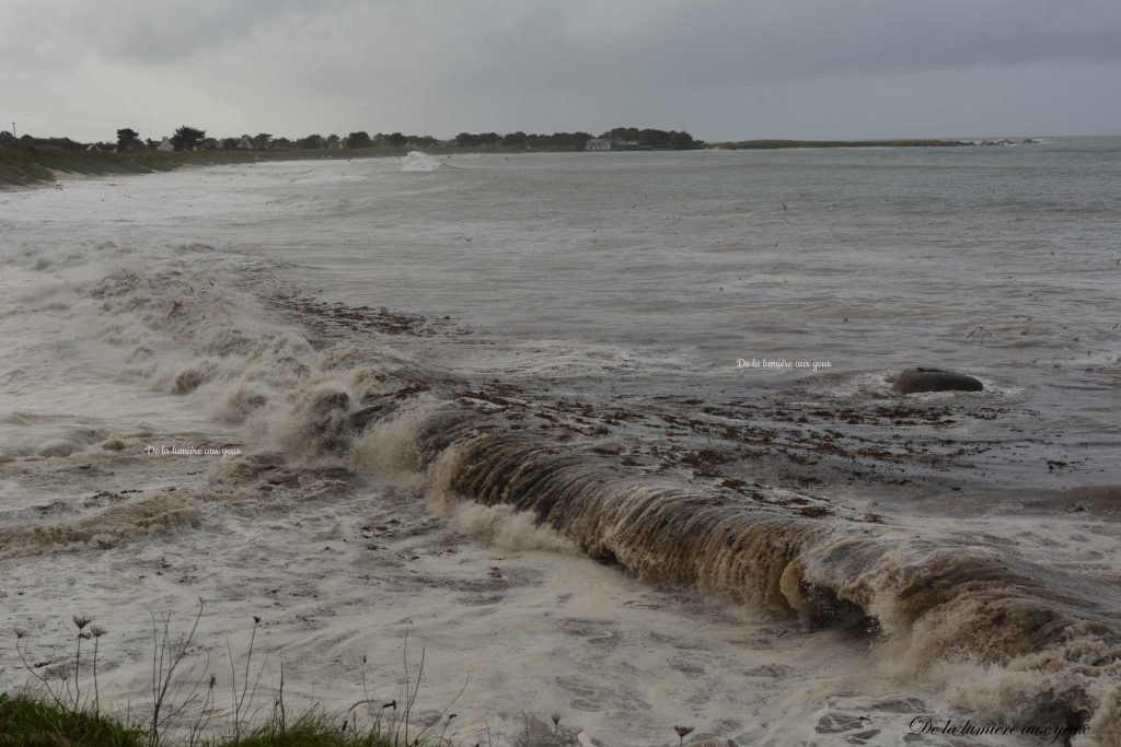 Bretagne Finistère Nord photographe De la lumière aux yeux