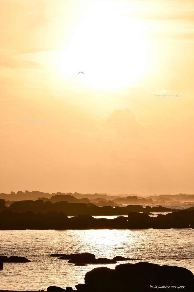 Bretagne Finistère Nord photographe De la lumière aux yeux