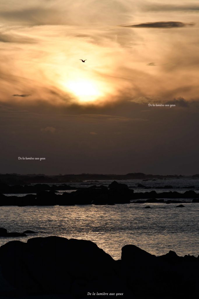Bretagne Finistère Nord photographe De la lumière aux yeux