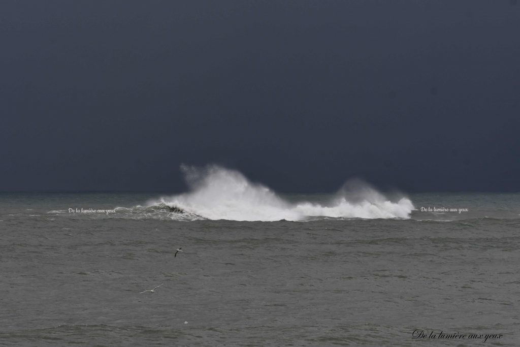 Bretagne Finistère Nord photographe De la lumière aux yeux