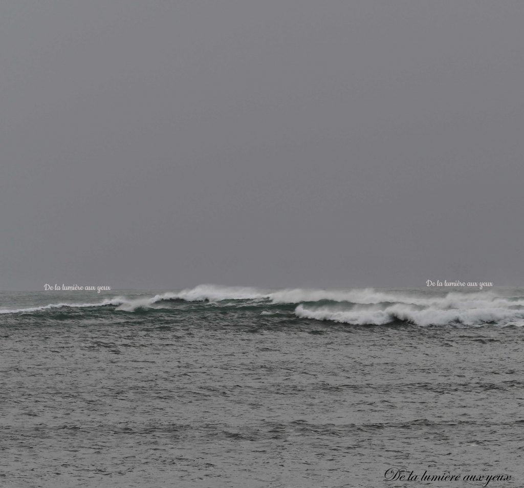 Bretagne Finistère Nord photographe De la lumière aux yeux