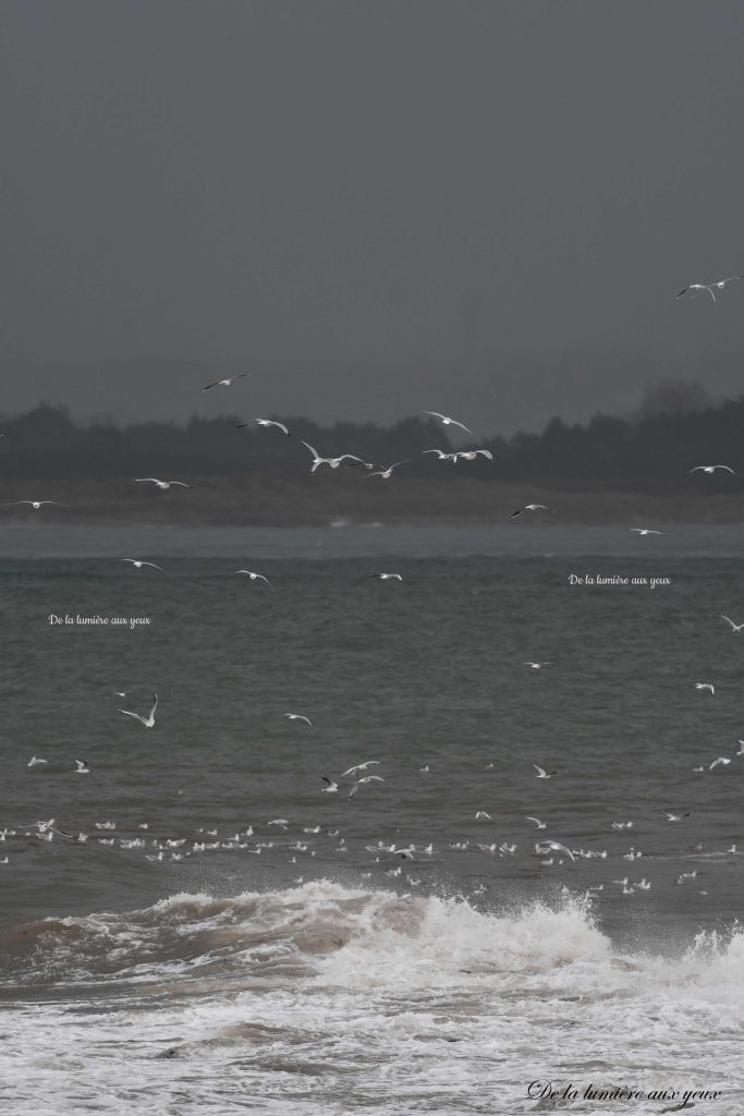 Bretagne Finistère Nord photographe De la lumière aux yeux