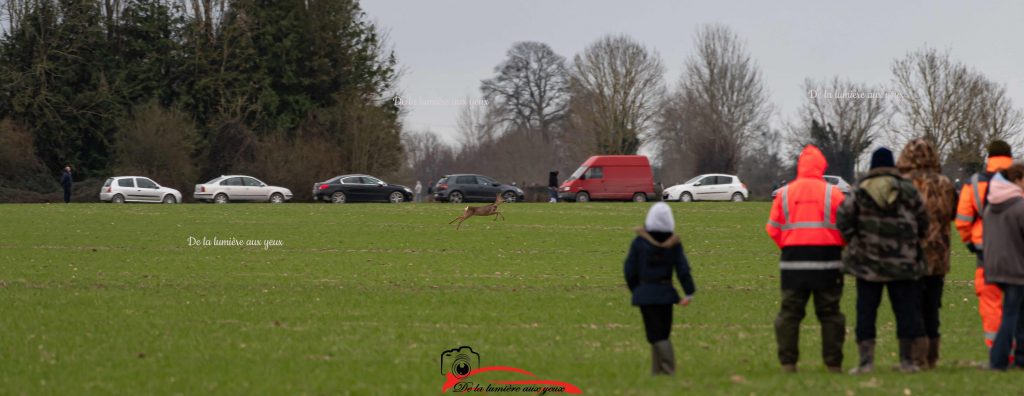 Rallye de la Côte Fleurie 2024 photographe De la lumière aux yeux