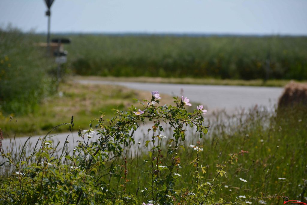 2e Rallye de la Vallée du Loir 2025 photographe De la lumière aux yeux