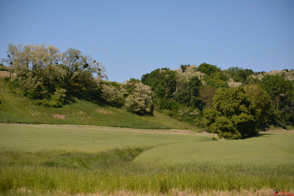2e Rallye de la Vallée du Loir 2025 photographe De la lumière aux yeux