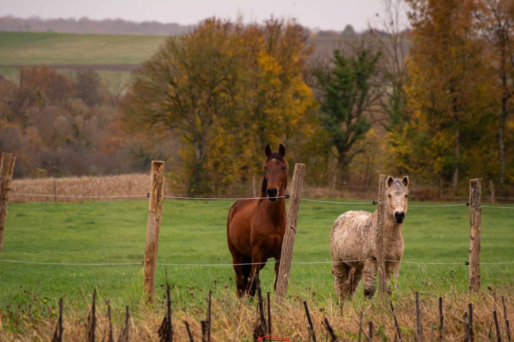 Rallye de l'Indre 2025 photographe De la lumière aux yeux