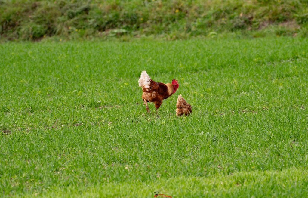 Rallye de l'Indre 2025 photographe De la lumière aux yeux
