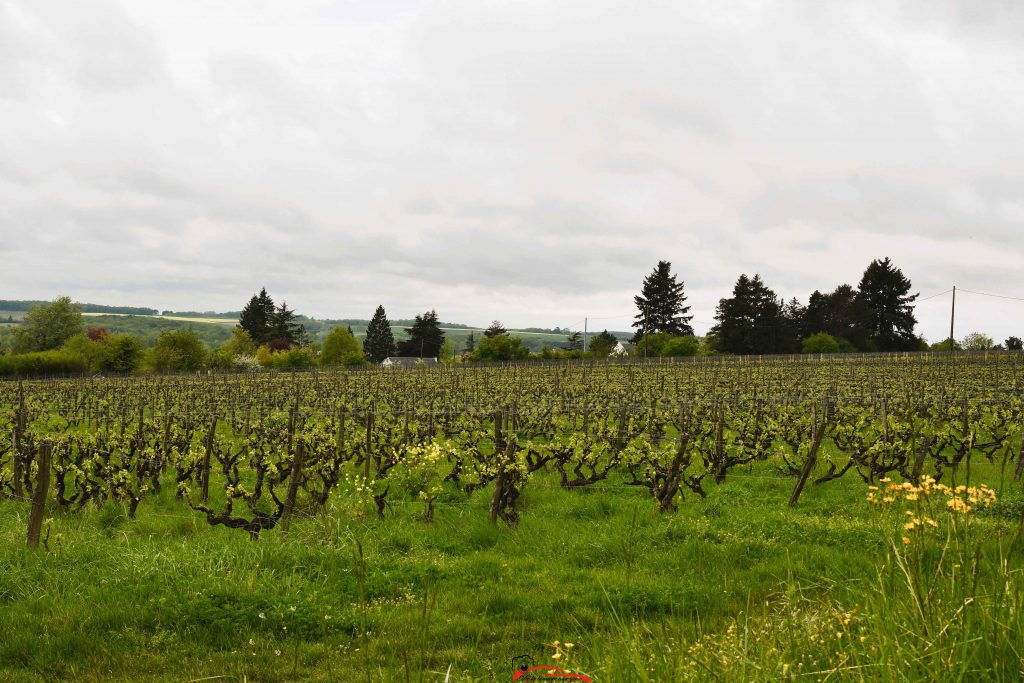 39e Rallye Autocourse Bléré 2026 photographe De la lumière aux yeux